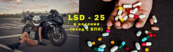 стаф Алзамай