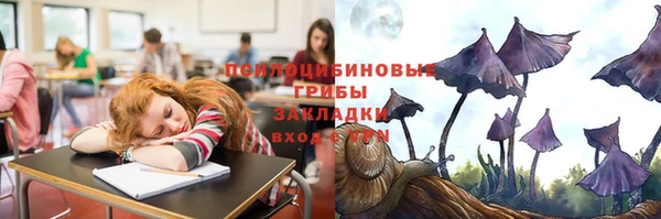 стаф Алзамай