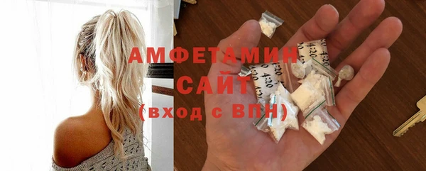 стаф Алзамай