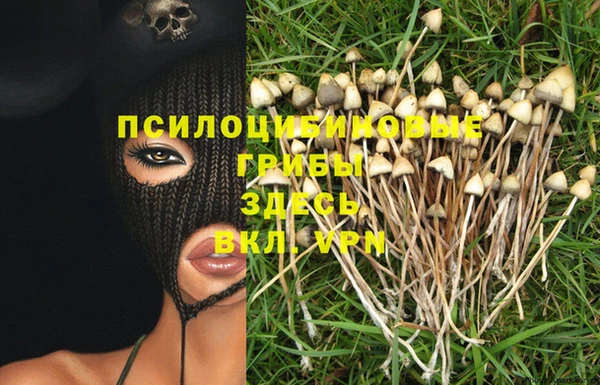 винт Алексеевка