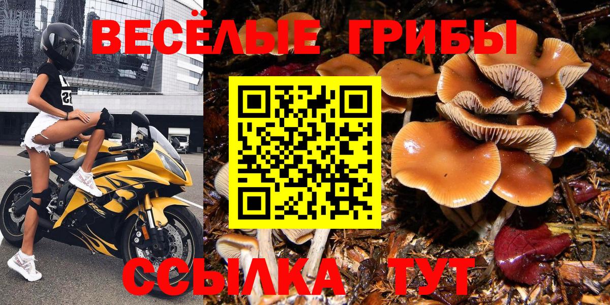 Галлюциногенные грибы мицелий Заводоуковск