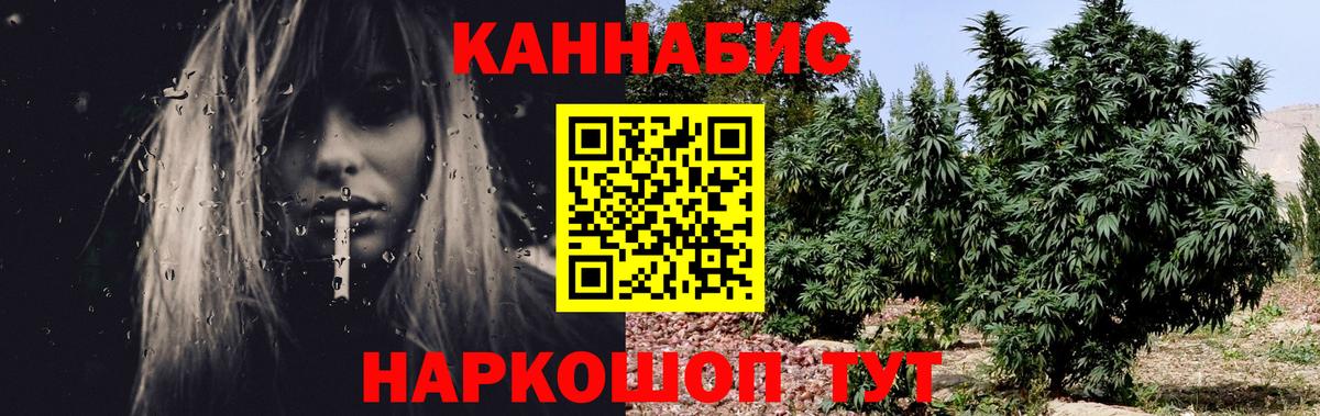 Каннабис план Заводоуковск